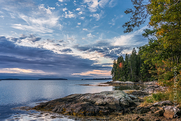 Maine Coast Landscape