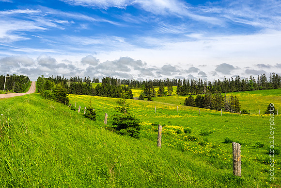 Victoria PEI Countryside