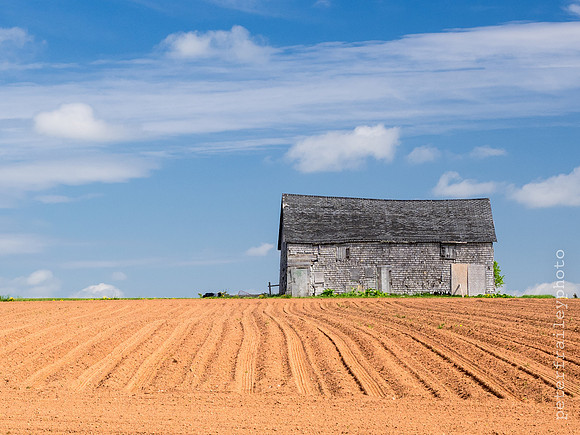 PEI Farmland