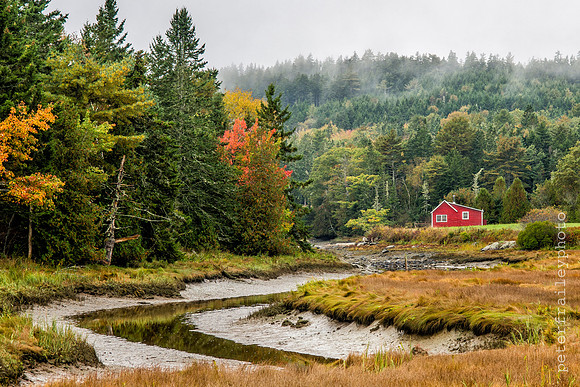 Red Cabin on Tidal River