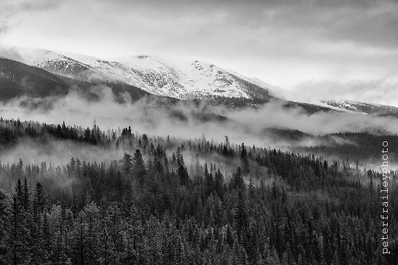 David Thompson Wilderness