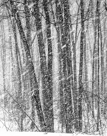 Blizzard Conditions