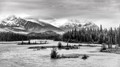 Athabasca River Toward Pyramid Mountain