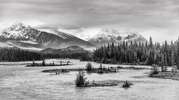 Athabasca River Toward Pyramid Mountain