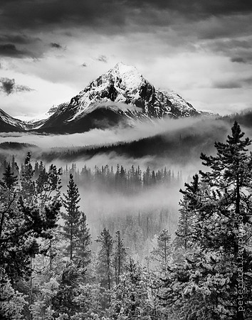Entering David Thompson WIlderness