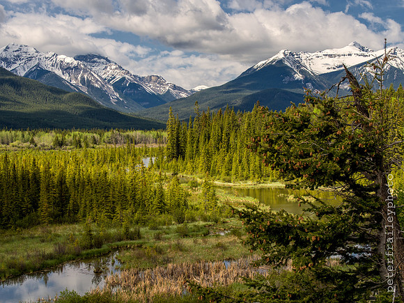 Waterway to the Vermillion Lakes