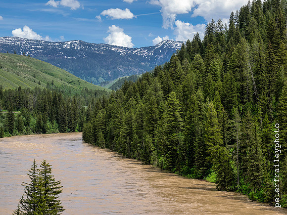 Spring Run Off on the Snake River