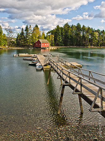 Buck's Harbor